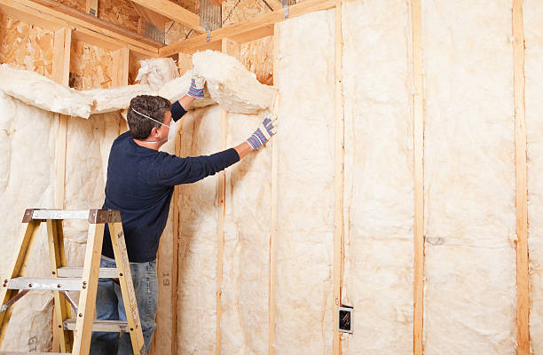 Best Blown-In Insulation  in Lead, SD